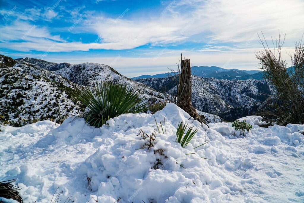 Central America Snow