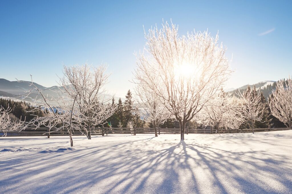 The Best Unique Places for Winter Sun Holidays