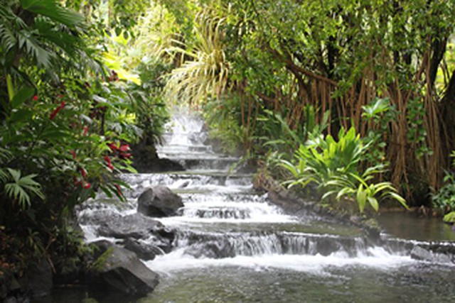 Arenal Volcano Warm Springs
