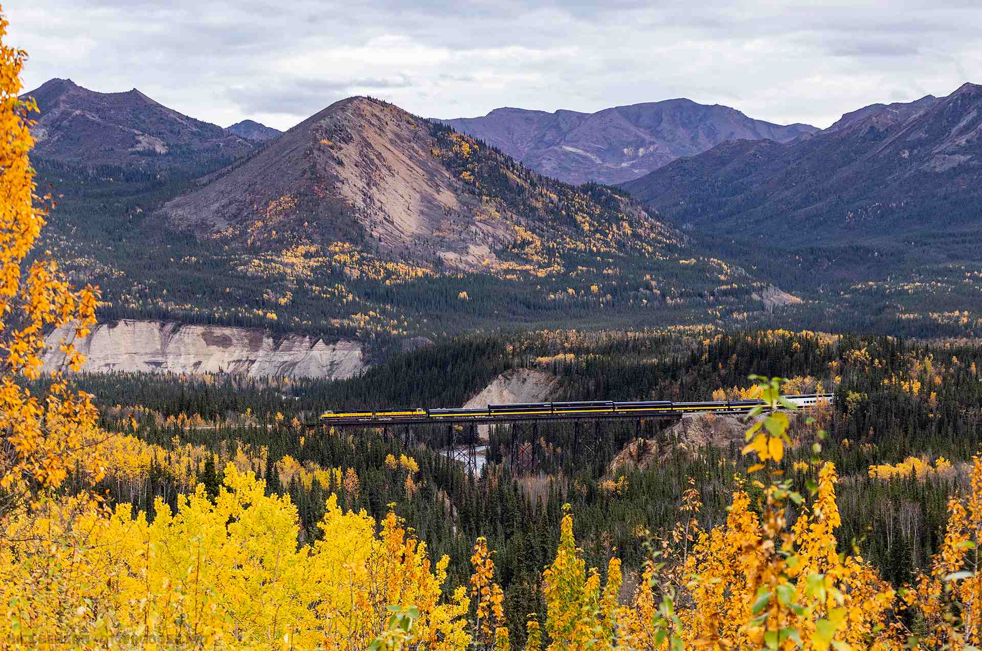 Denali National Park