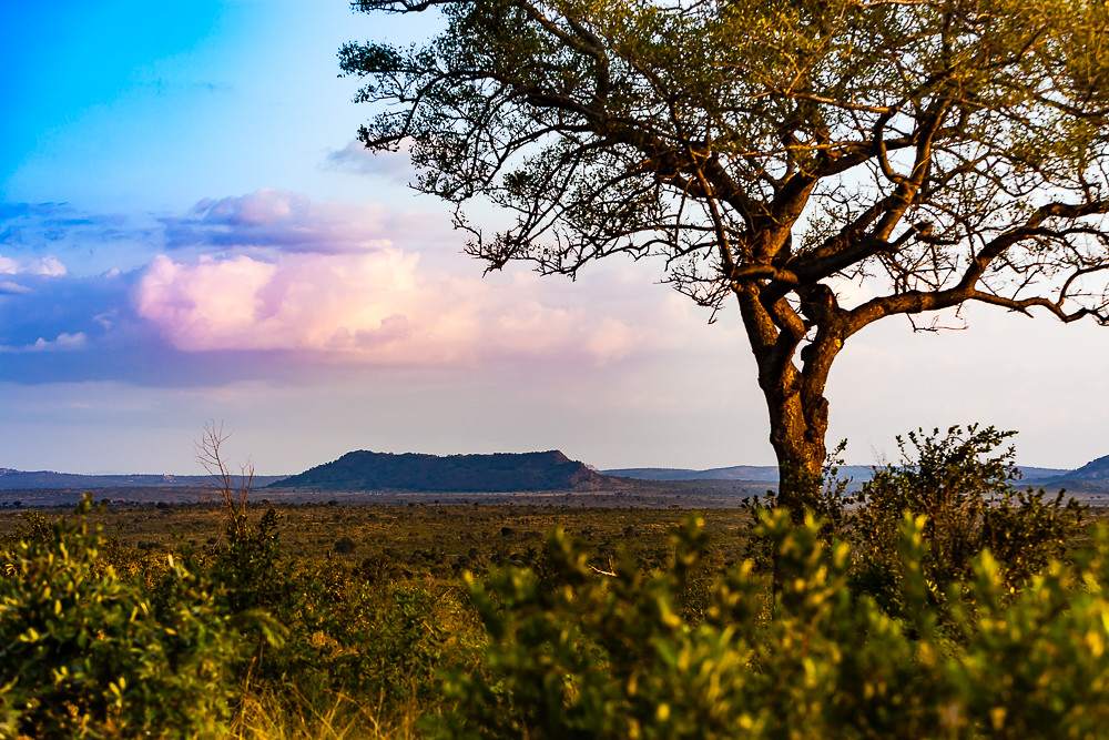 Kruger National Park, South Africa