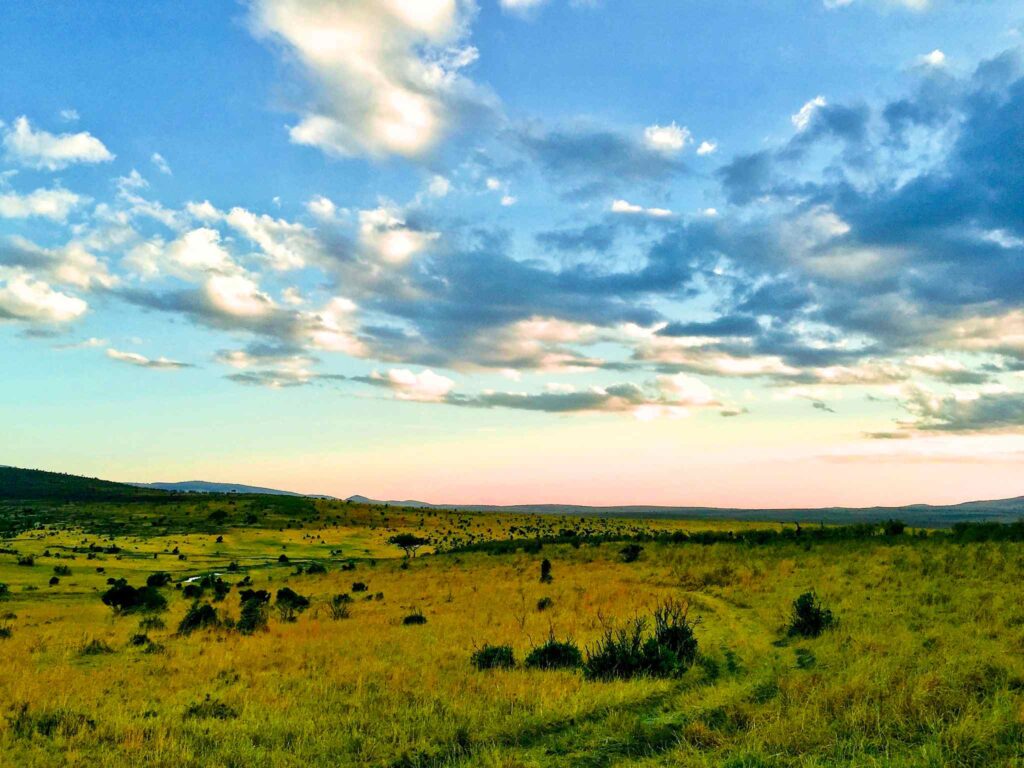 Maasai Mara National Reserve, Kenya