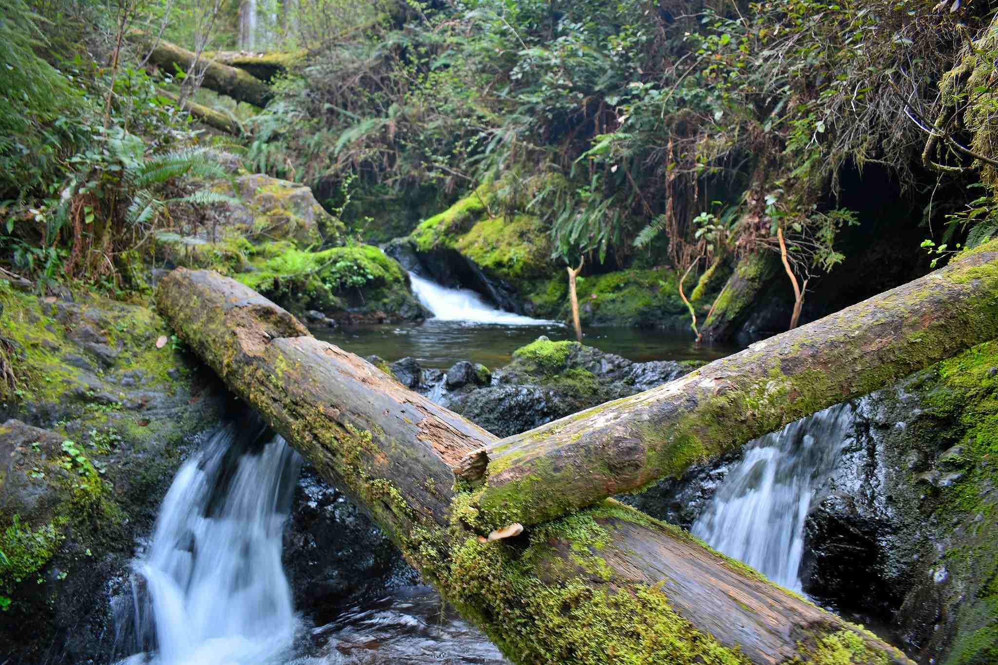 Olympic National Park