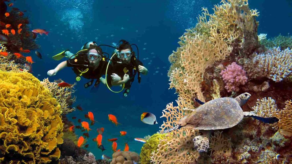 7 of the World’s Most Incredible Scuba Diving Experiences