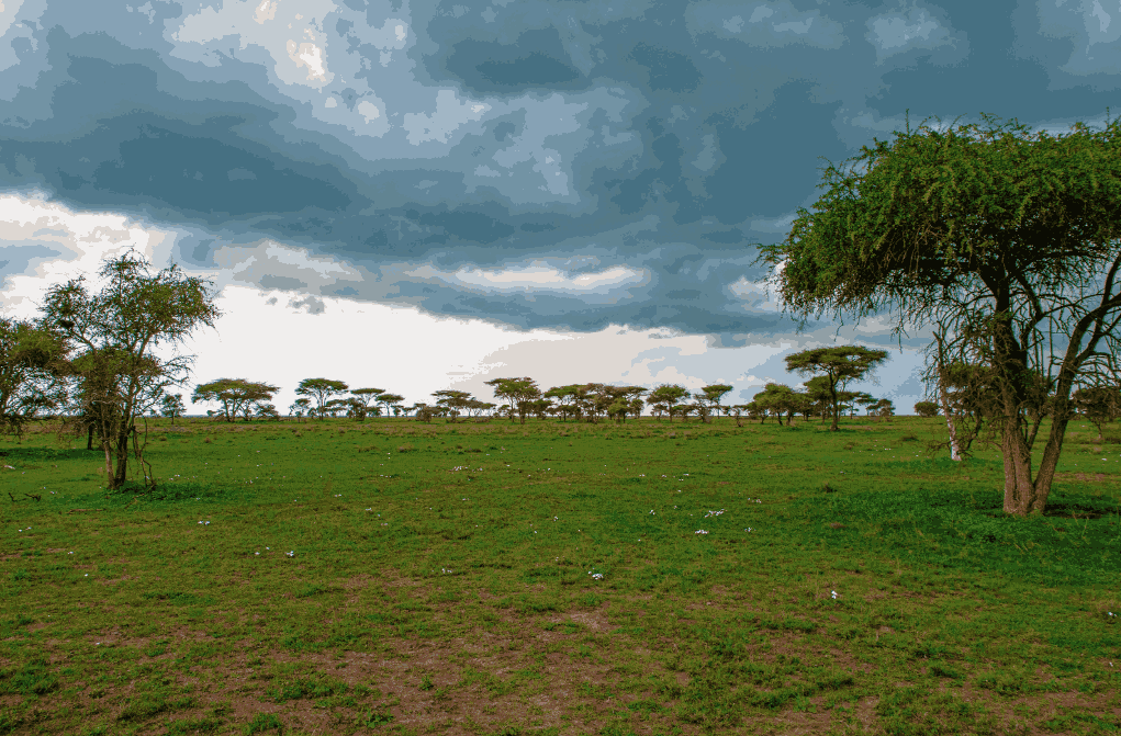 Serengeti National Park
