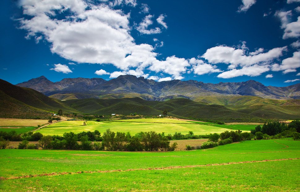 South Africa Wildlife and Scenic Beauty