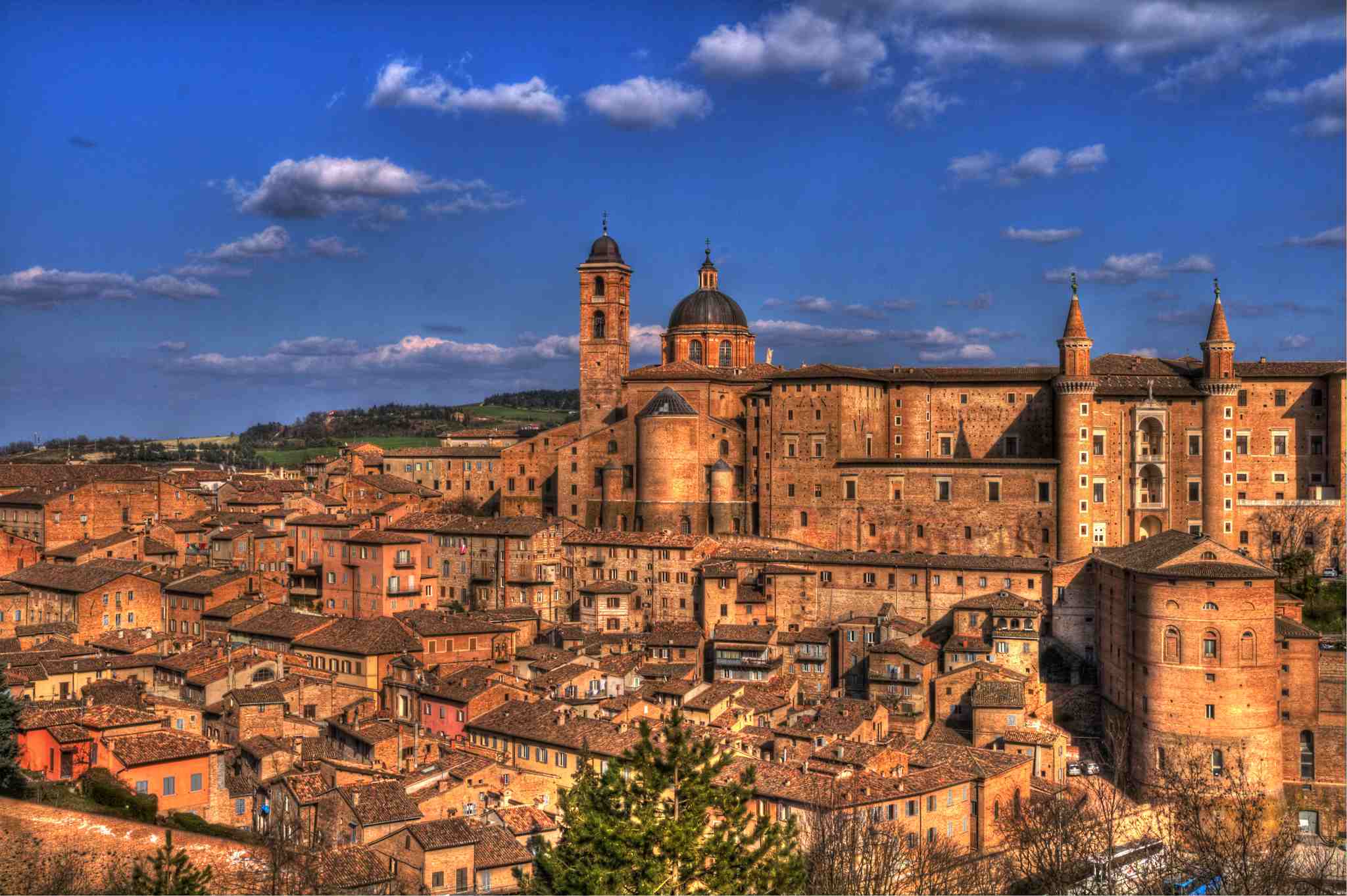 Urbino