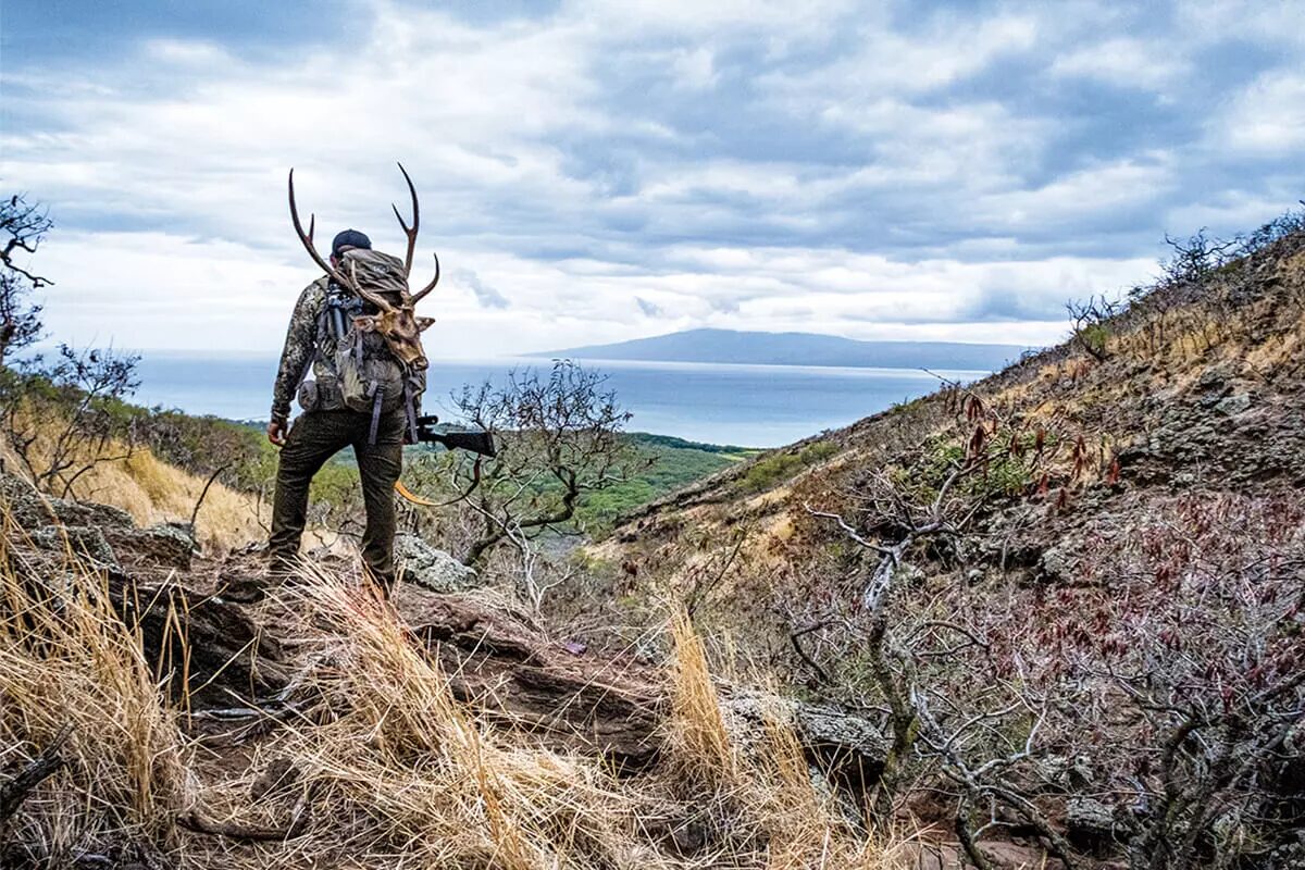 Global Hunting Destinations