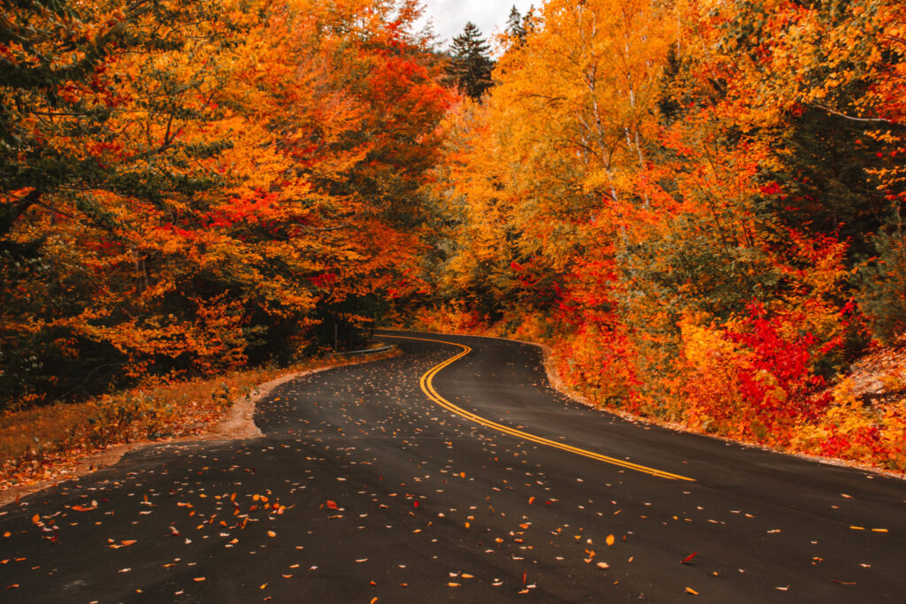 Fall Foliage 2025: When and Where to See Peak Autumn Colors Across America