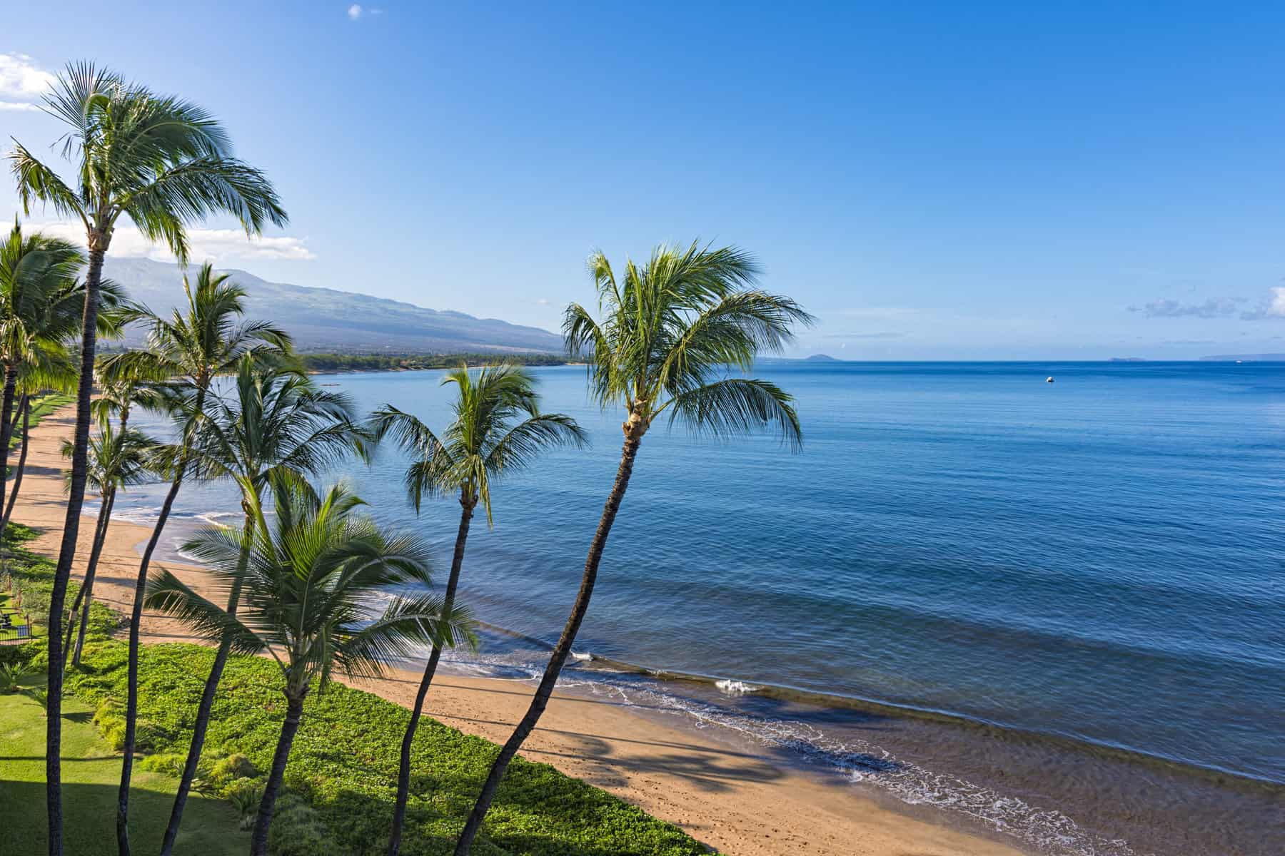 Maui Travel Guide