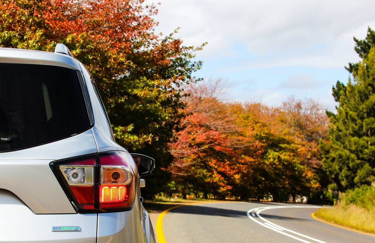 Enterprise Tops 2025 Rental Car