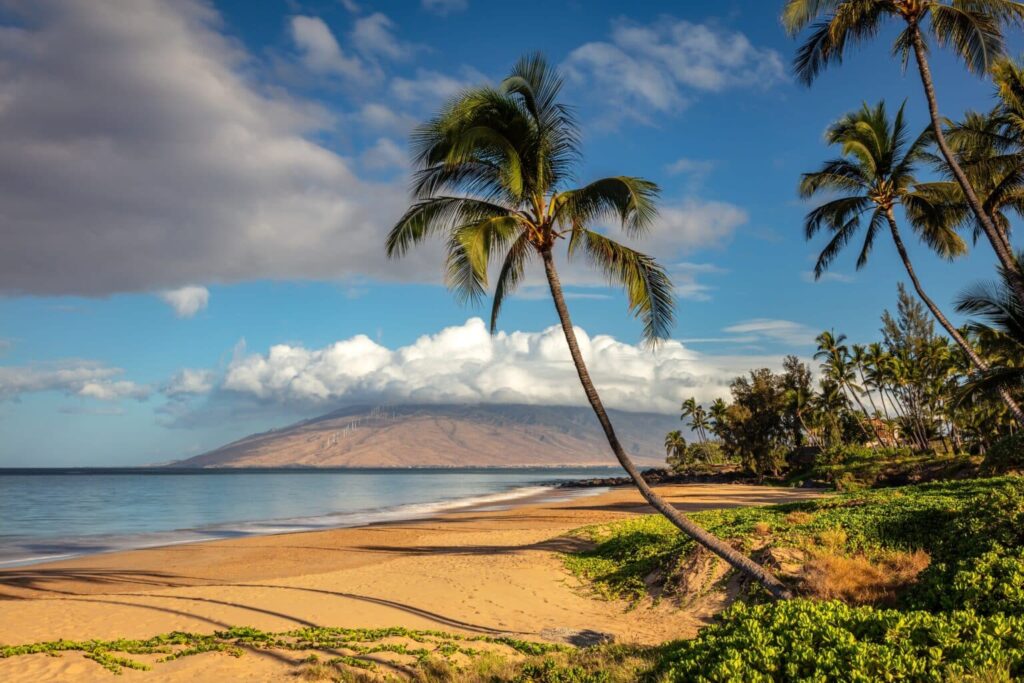 Maui Insider Guide: Travel Experts Reveal Hidden Gems and Local Secrets