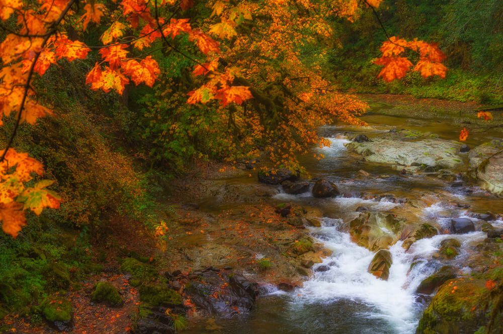 McKenzie Pass-Santiam Pass Scenic Byway: Oregon’s Ultimate Fall Drive
