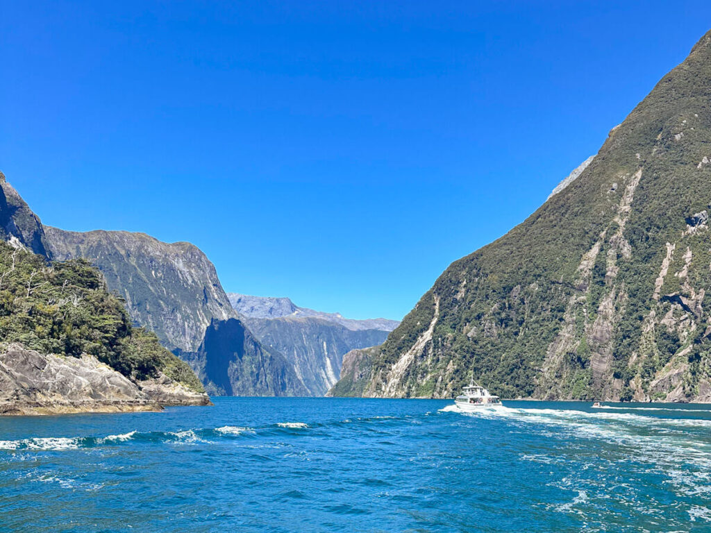 Milford and Doubtful Sounds: New Zealand’s Eighth Wonders of the World