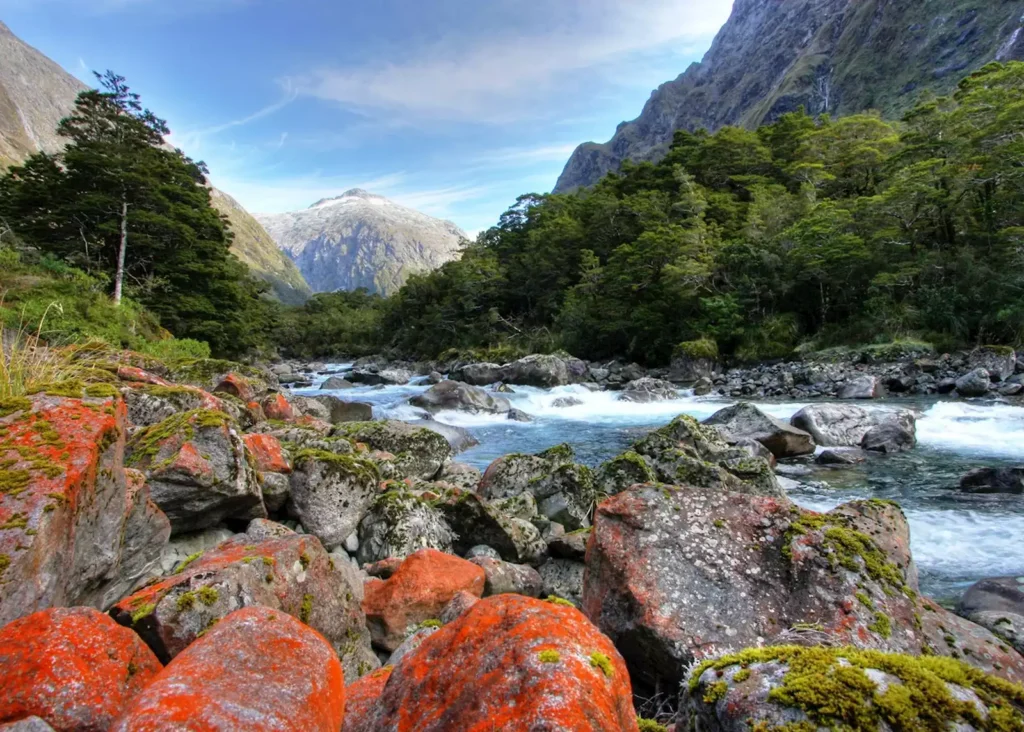 New Zealand Wildlife: Ultimate Guide to Unique Animals and Where to Find Them