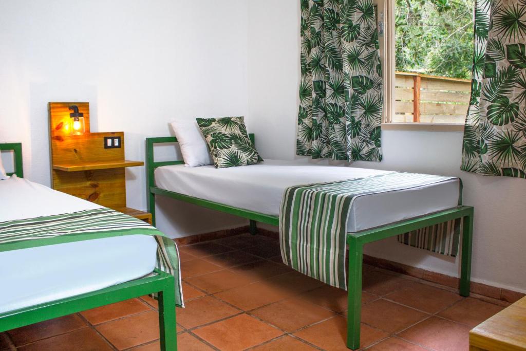 Green Haven Ilha Anchieta Brazil: Award-Winning Eco-Hostel Inside Protected State Park
