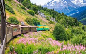 America's Great National Parks Train Tour