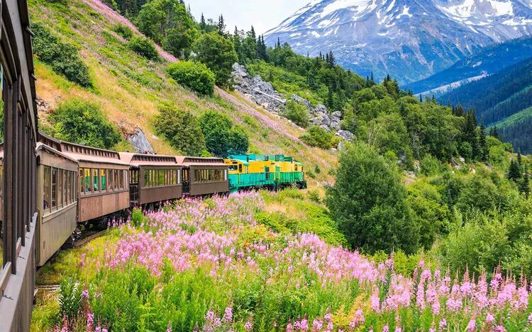 America’s Great National Parks Train Tour: 13-Day Itinerary Through 5 Iconic Parks